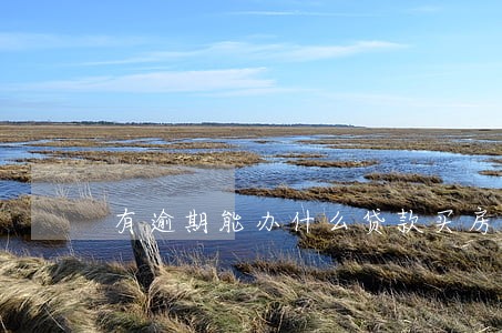 有逾期能办什么贷款买房 有逾期能办什么贷款买房