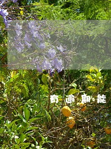 有逾期能办储值 有逾期能办储值