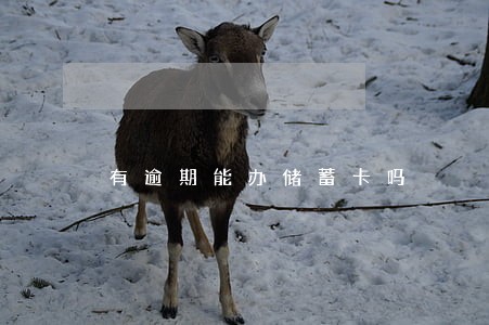 有逾期能办储蓄卡吗 有逾期能办储蓄卡吗
