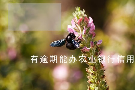 有逾期能办农业银行信用卡吗 有逾期能办农业银行信用卡吗