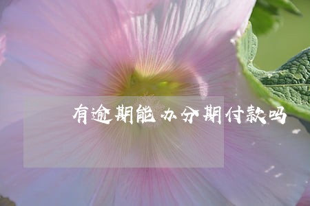 有逾期能办分期付款吗 有逾期能办分期付款吗
