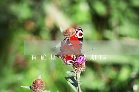 有逾期能办分期吗 有逾期能办分期吗