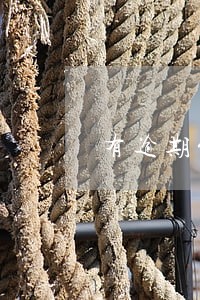 有逾期能办哪个行的信用卡 有逾期能办哪个行的信用卡