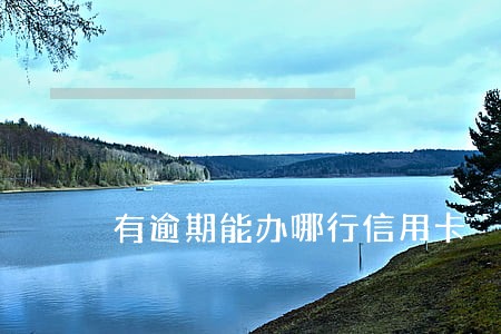 有逾期能办哪行信用卡 有逾期能办哪行信用卡