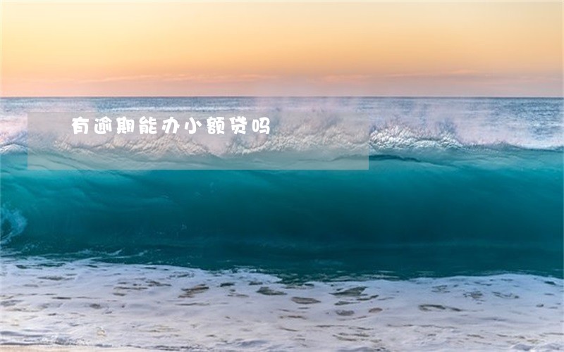 有逾期能办小额贷吗 有逾期能办小额贷吗