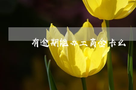 有逾期能办工商金卡么 有逾期能办工商金卡么