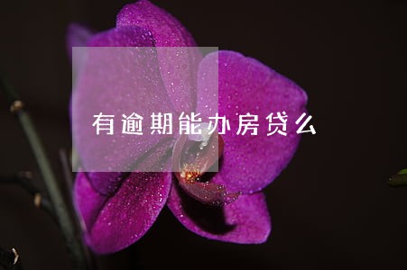 有逾期能办房贷么 有逾期能办房贷么
