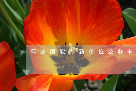 有逾期能办新单位公务卡吗 有逾期能办新单位公务卡吗