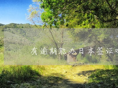 有逾期能办日本签证吗 有逾期能办日本签证吗