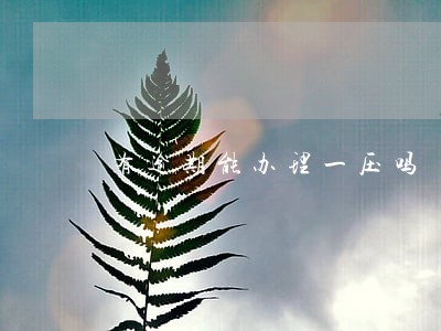 有逾期能办理一压吗