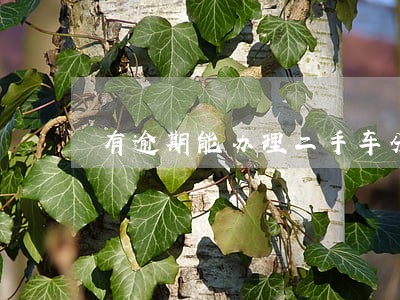 有逾期能办理二手车分期吗 有逾期能办理二手车分期吗