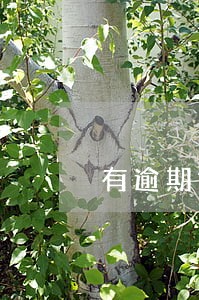 有逾期能办理便民卡吗