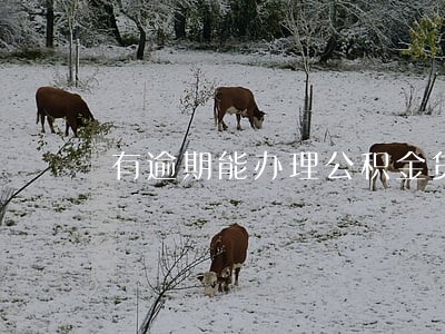有逾期能办理公积金贷款吗 有逾期能办理公积金贷款吗