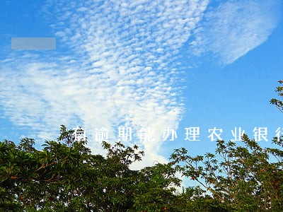 有逾期能办理农业银行公务卡 有逾期能办理农业银行公务卡