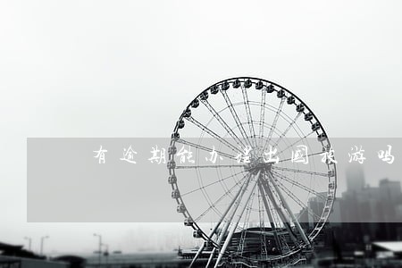 有逾期能办理出国旅游吗 有逾期能办理出国旅游吗