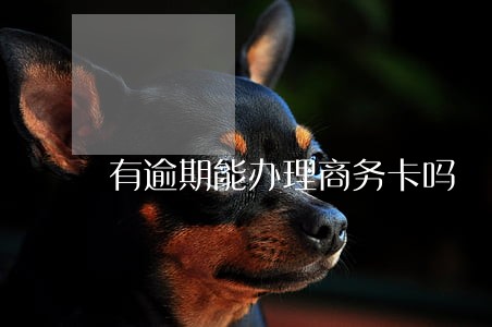 有逾期能办理商务卡吗 有逾期能办理商务卡吗
