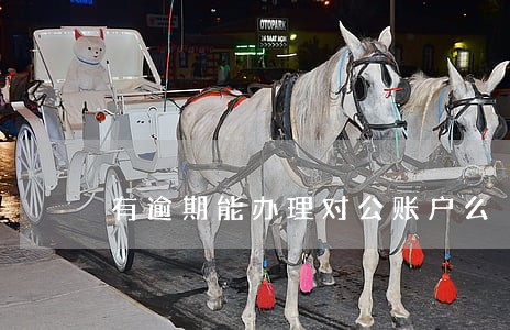 有逾期能办理对公账户么 有逾期能办理对公账户么