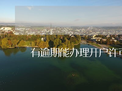 有逾期能办理开户许可证吗