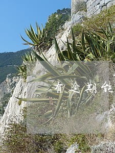 有逾期能办理房贷吗