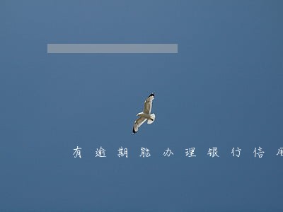 有逾期能办理银行信用贷款吗 有逾期能办理银行信用贷款吗