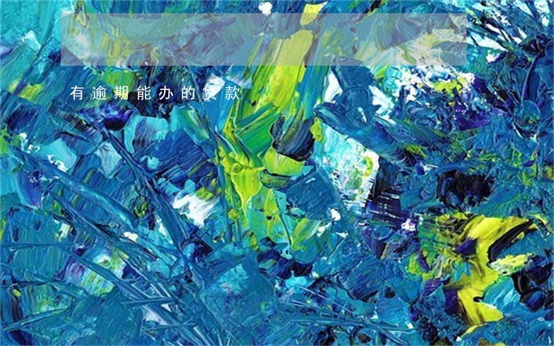 有逾期能办的贷款 有逾期能办的贷款