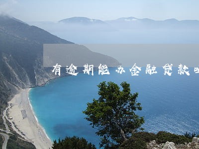 有逾期能办金融贷款吗 有逾期能办金融贷款吗