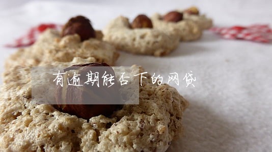 有逾期能否下的网贷 有逾期能否下的网贷