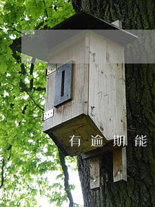 有逾期能否公积金贷款买房 有逾期能否公积金贷款买房