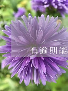 有逾期能否办公积金贷款 有逾期能否办公积金贷款