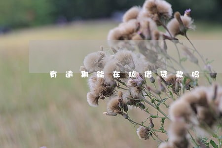 有逾期能在优借贷款吗 有逾期能在优借贷款吗