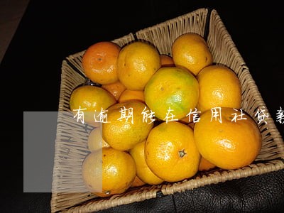 有逾期能在信用社贷款吗 有逾期能在信用社贷款吗