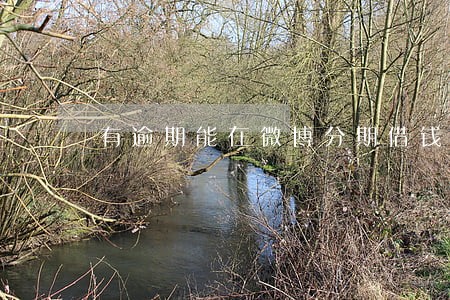 有逾期能在微博分期借钱吗 有逾期能在微博分期借钱吗