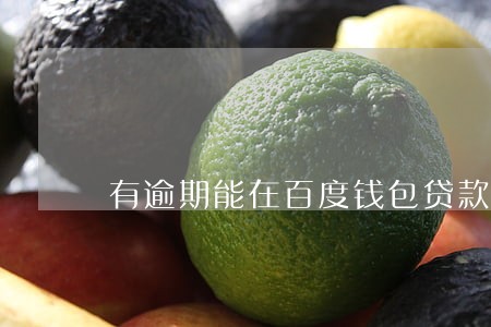 有逾期能在百度钱包贷款吗 有逾期能在百度钱包贷款吗