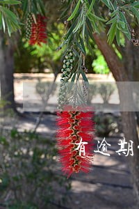 有逾期能审批放款吗 有逾期能审批放款吗