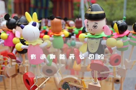 有逾期能开公司吗 有逾期能开公司吗