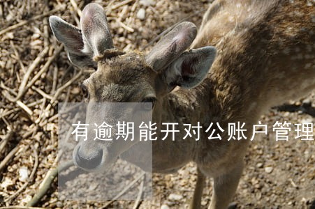 有逾期能开对公账户管理员 有逾期能开对公账户管理员