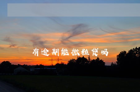 有逾期能微粒贷吗 有逾期能微粒贷吗