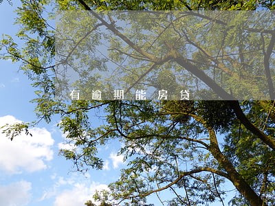 有逾期能房贷 有逾期能房贷
