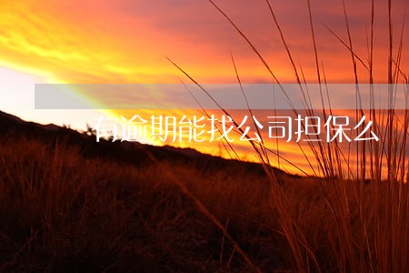 有逾期能找公司担保么 有逾期能找公司担保么