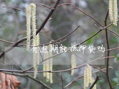 有逾期能抵押贷吗 有逾期能抵押贷吗
