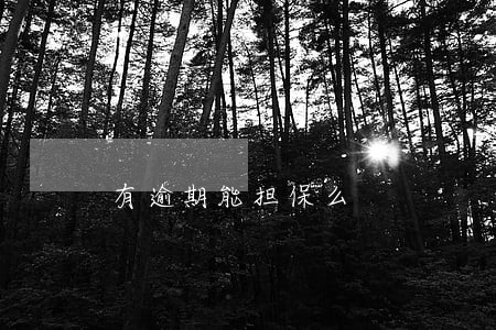 有逾期能担保么 有逾期能担保么