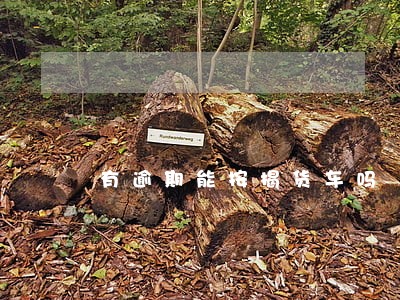 有逾期能按揭货车吗 有逾期能按揭货车吗