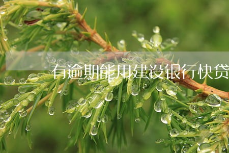 有逾期能用建设银行快贷 有逾期能用建设银行快贷