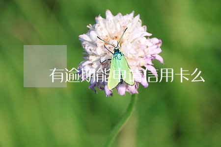 有逾期能申请信用卡么