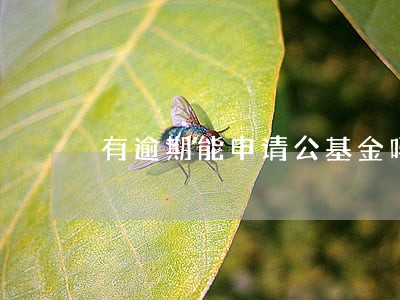 有逾期能申请公基金吗 有逾期能申请公基金吗