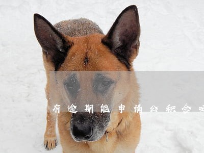 有逾期能申请公积金吗 有逾期能申请公积金吗