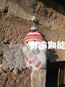 有逾期能申请和包支付
