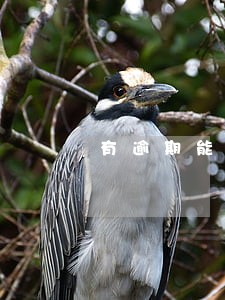 有逾期能申请建行快贷吗