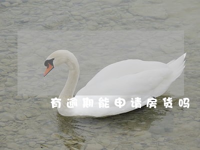 有逾期能申请房货吗 有逾期能申请房货吗