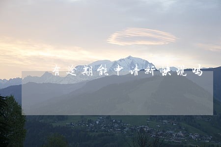 有逾期能申请新快现吗